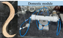 Domestic module